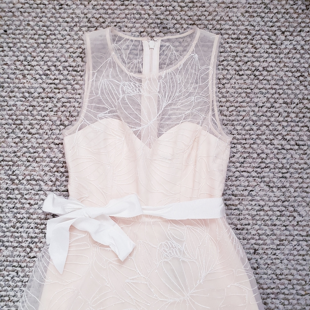 BCBG Embroidered Illusion Dress - Picture 4 of 8